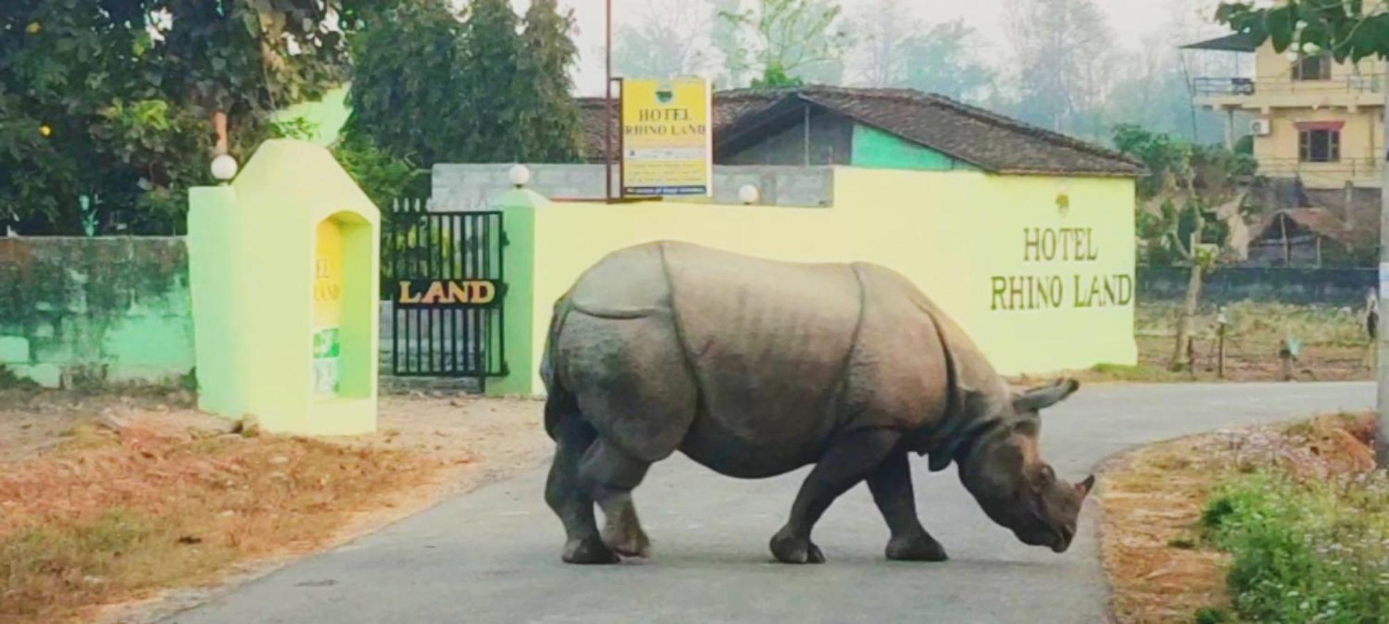 Hotel Rhino Land, Sauraha Exteriör bild